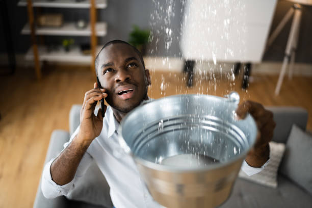 Best Commercial water damage restoration  in Circle Pines, MN
