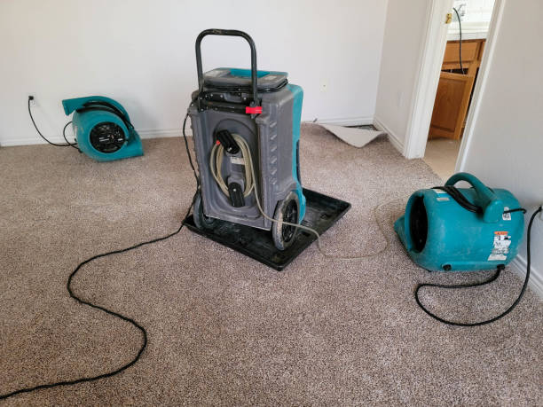 Best Flooded house restoration  in Circle Pines, MN