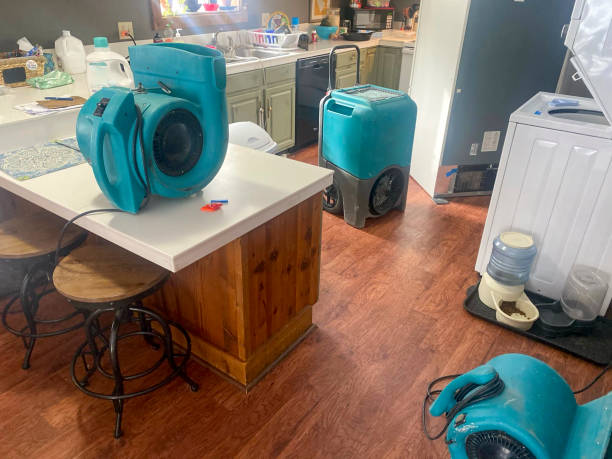 Best Water damage restoration insurance claims  in Circle Pines, MN