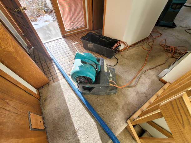 Best Basement water damage restoration  in Circle Pines, MN