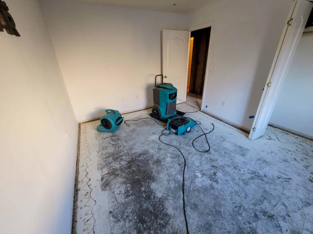 Best Residential water damage restoration  in Circle Pines, MN