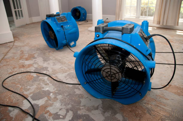Best Carpet water damage restoration  in Circle Pines, MN