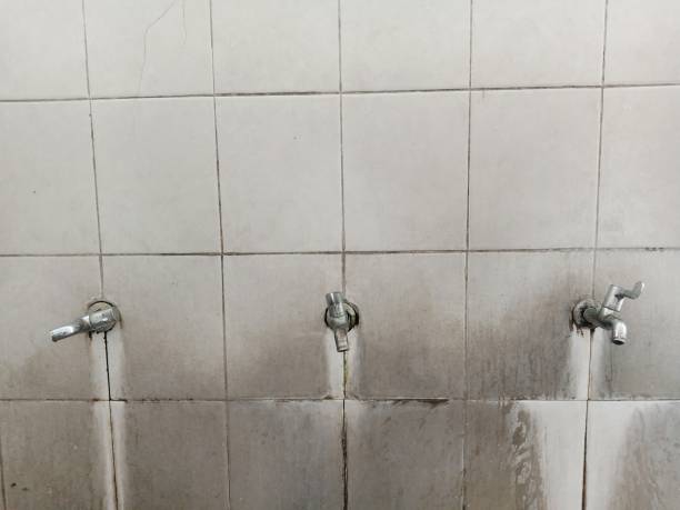 Best 24-hour water damage restoration  in Circle Pines, MN