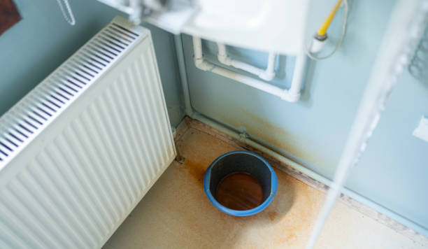 Best Emergency water damage restoration  in Circle Pines, MN