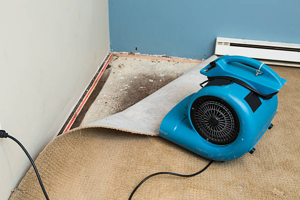 Best 24/7 water damage repair  in Circle Pines, MN